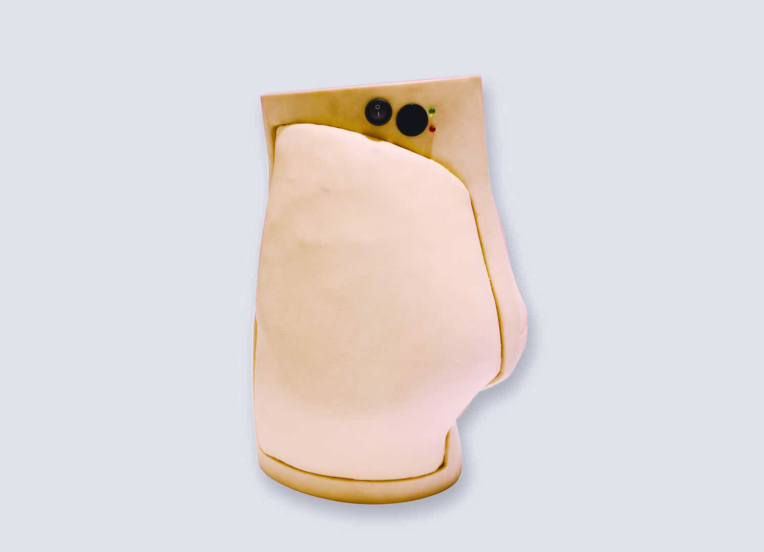 Mate Injection Model (Buttock-wearing Type)