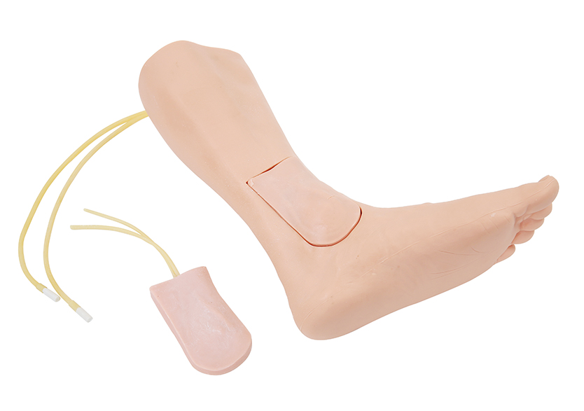 大隐静脉切开置管训练模型